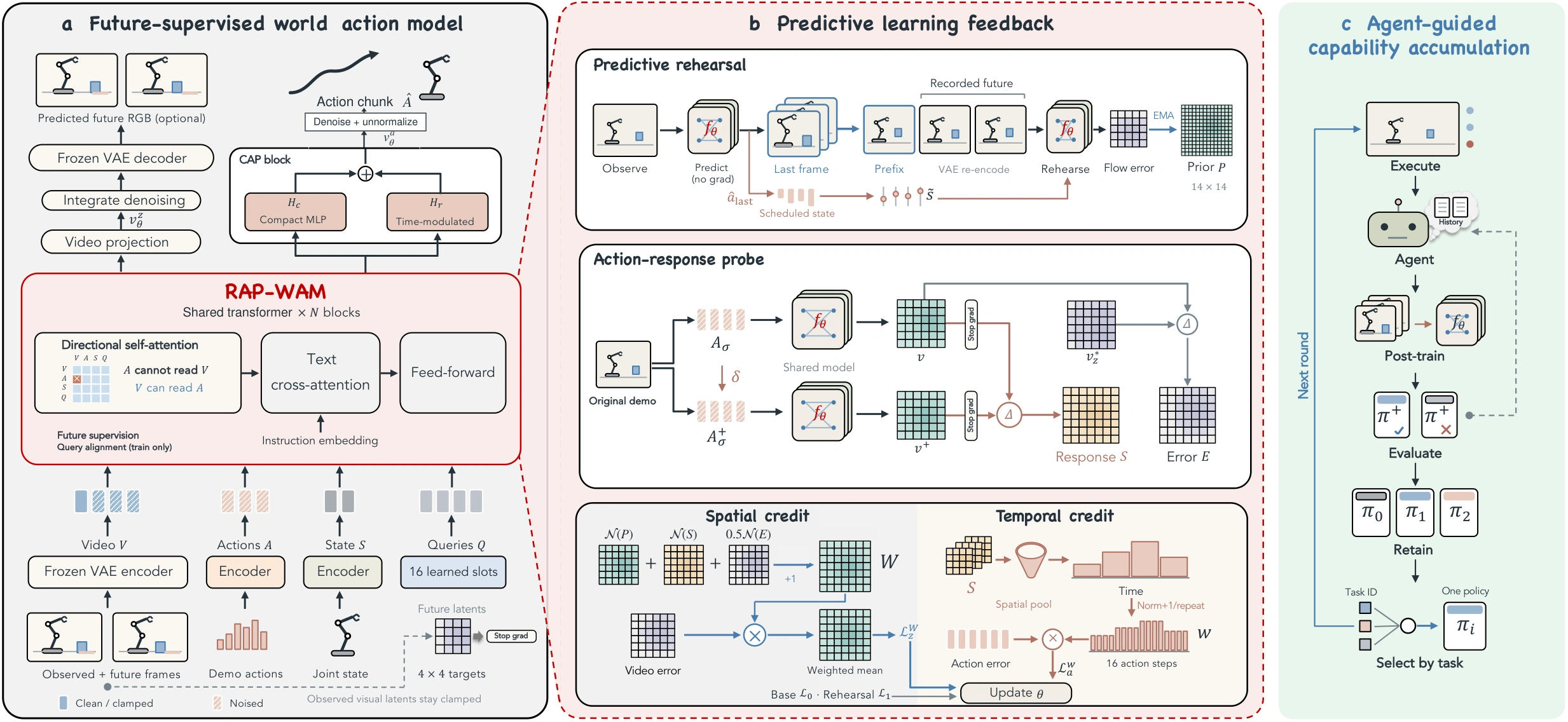 RAP-WAM overview: future-supervised world action model, predictive rehearsal, action-response credit and agent-guided capability accumulation
